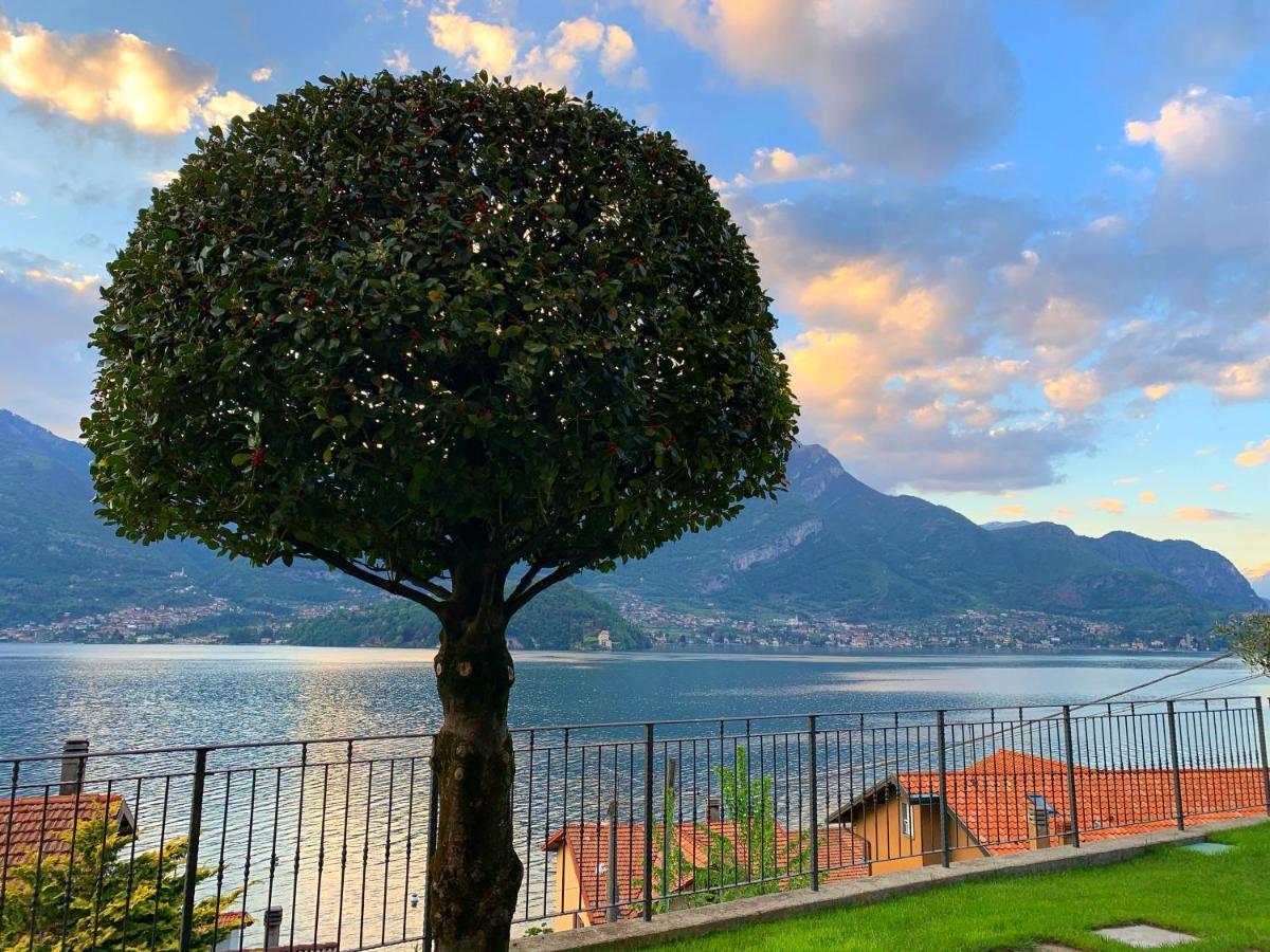 Residence Molinari Lake Como Lezzeno Exterior foto